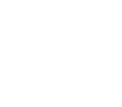 Logo Dynastar blanc