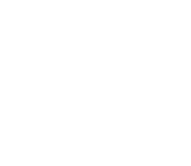 Logo Salomon blanc
